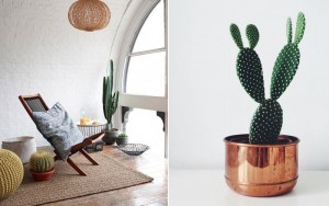 Deco minimalista