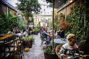 jjardin-Salvador-Bachiller-terraza-Madrid-TC