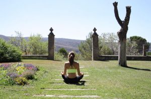 La dieta detox de la mente en +Qi